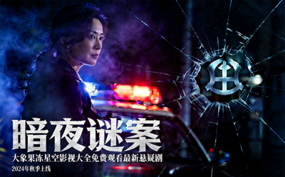 悬疑新作《暗夜谜案》海报 - 大象果冻星空影视大全免费观看最新悬疑剧